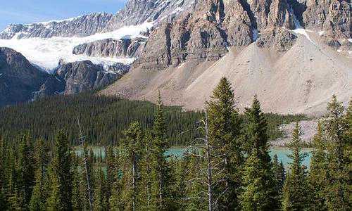 美国亚特兰大移民费【美国留学正在走下神坛!英国和澳洲成最大赢家!】