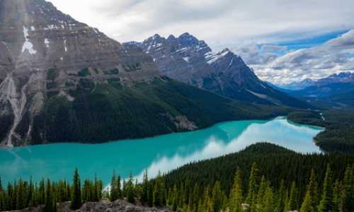 澳洲移民签证申请费用{利好!澳洲移民局大幅降低GTI全球人才独立计划要求!