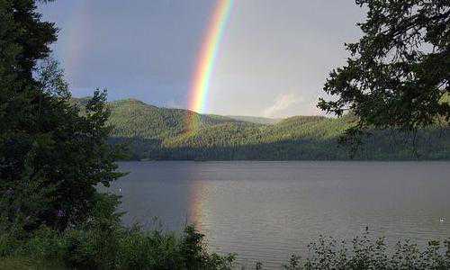 美国移民那三种疫苗（移民美国，选择分散风险的EB-5项目）