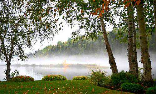 美国移民局进度(【快讯】好消息!美国移民局启动电子移民系统,绿卡延期可