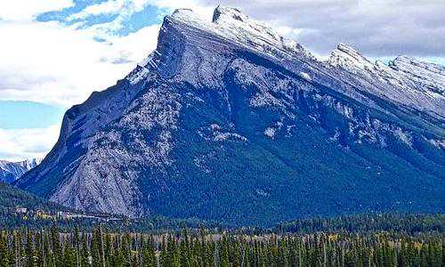 亲戚移民美国(川普为美国人民谋福利那些想蹭低保的新移民将不能再做“寄生