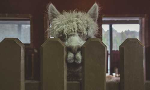 德国队 移民【德国移民入境材料要求及行李检查须知】