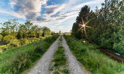 美国绿卡移民疫苗(美国撤回“骨肉分离”移民政策)