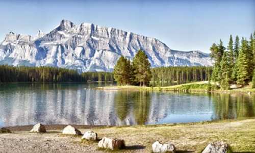 美国移民类签证【美国移民的好处之在多样的中小学教育资源中自由选择】