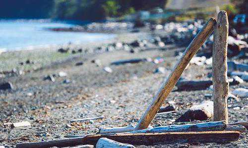 美国西雅图移民律师{2015年美国大学学费排行榜及概览}