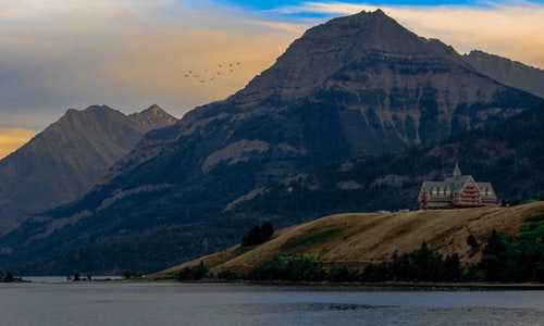 澳洲309移民 流程{每年移民澳洲的人数有多少？澳大利亚2018-2019财年移民年度报