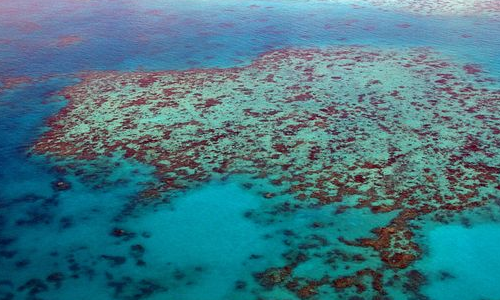 加拿大高投资移民新政策（加拿大官方承认双重国籍）