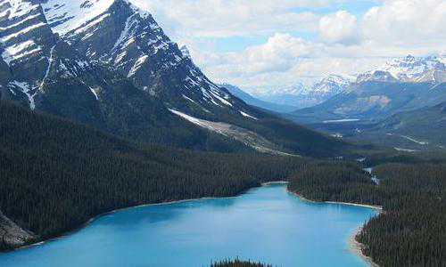 澳洲移民时间【移民澳洲融入更重要的是语言:不看重出生地】