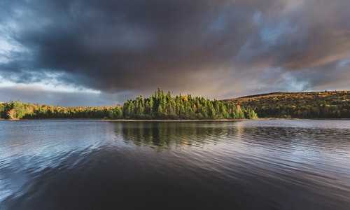 美国移民001网站【中国人靠什么途径移民美国】