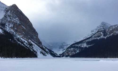 广州移民美国体检过程【疫情期间没人移民？NO!百度数据显示：加拿大移民热度