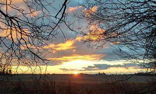 加拿大移民陷阱(500万能移民加拿大吗,相关费用需要多少钱呢?)