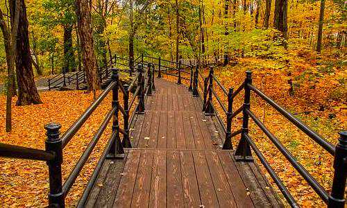 移民加拿大攻略{加拿大推投资移民新项目：风投基金移民}