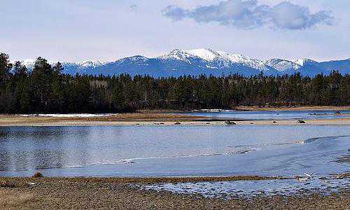 移民美国入关前【移民美国的人源源不断，人口为什么却还是3亿多？】