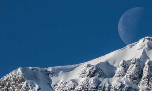 德国 移民 律师（德国留学移民条件有哪些？）