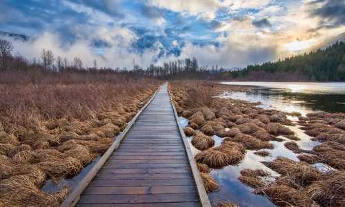 加拿大亲属移民加15分{加拿大投资移民“一刀切”集体诉讼案将于6月开庭}