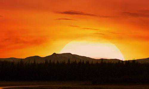 美国家庭团聚移民手续（在美国有公司的他，是如何取得身份让子女就读公校的