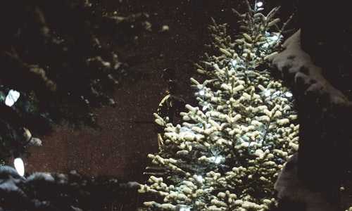 澳洲会计技术移民要求【澳洲移民如何贷款买房】