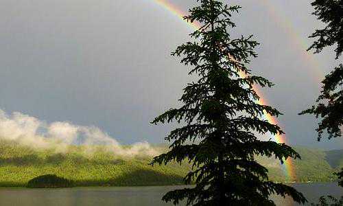 移民美国拒签（当移民美国政策紧缩，我们还能去哪？）