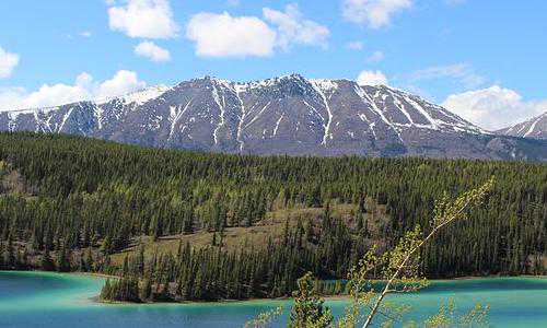 移民美国未成年子女【直播预告|花23万打了个石膏,在美国买不买医保差别有多