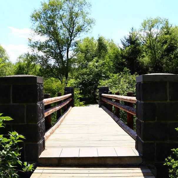 塞浦路斯移民弊端{塞浦路斯两个新的过境点开放，这是八年来的第一次}