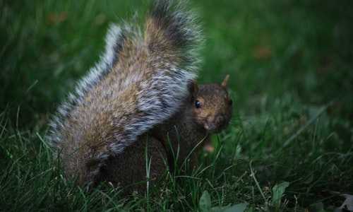 加拿大移民配额争夺2016{加拿大移民中介推荐哪家好?}