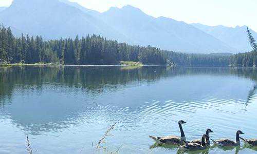 澳洲移民 生父(会计申请澳洲技术移民职业评估机构怎么选?)