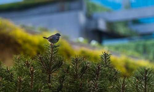 移民美国费【移民美国能做什么工作?选择面广,但是收入差距大!】