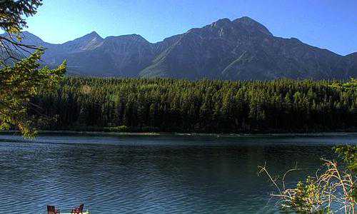 爱尔兰移民投资{爱尔兰留学最受欢迎的十大专业，你为自己的未来做好规划了