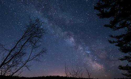 澳大利亚留学移民专业{老王跟着小王移民澳大利亚后的退休生活怎么样？}