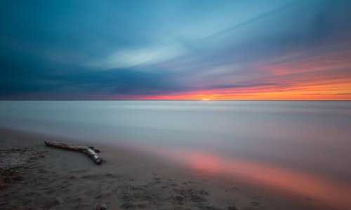 美国移民 件（美国十大新颖并前途看好的专业出炉（中英文名称））