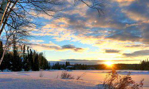 美国移民 石油（中国人靠什么途径移民美国）