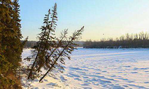 如何移民去美国洛杉矶（自带光环的波士顿，美国教育传奇开始的地方）
