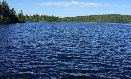 移民去美国要多少钱【在美国安家立业，新移民得先有个社会安全号】