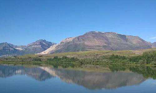 2019年3月美国职业移民情况（美国华人移民数据关键词出炉：年龄、学历、收入