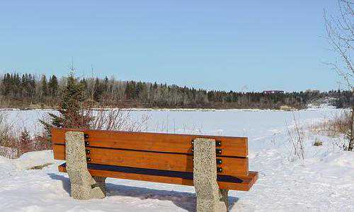 全家移民美国有什么方式{中国人移民美国好吗？十个数据揭示在美华人众生相