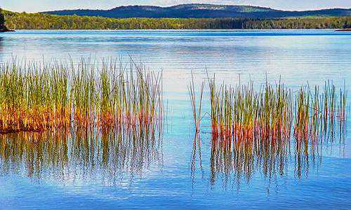 移民美国后的工作（美国移民签证类别有哪些？分别适合哪些申请者呢？）