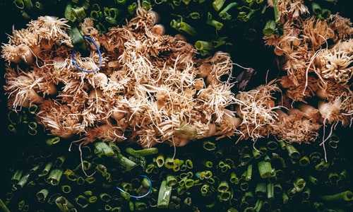 美国移民局最新个案审理进度表{移民美国无排期，还有众多优势eb1a项目申请条