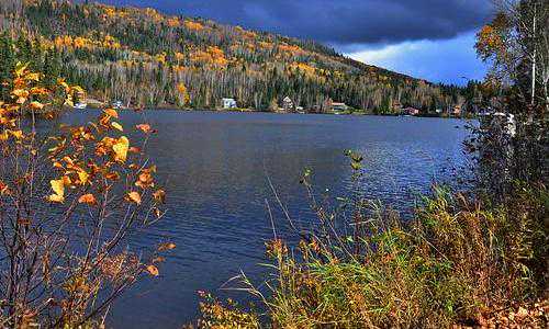 美国移民总人口2017{来自中国移民申请者减少趋势明显，美国移民政策到底发生