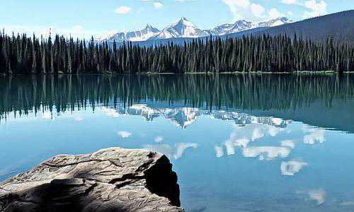 美国移民局 信 NIW【麻辣婶聊移民：美国大佬和加拿大小弟，你不知道的事？】