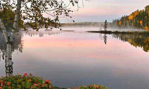 多少钱能移民美国（移民美国的途径有哪些）