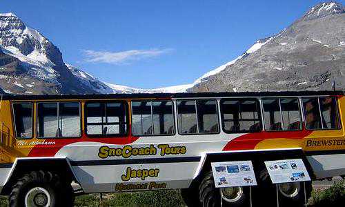 美国亲属类移民（川普打压非移决心之大，美国正式下达驱逐令）