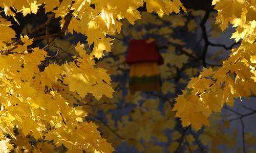 美国移民入籍（美国移民排期或增设＂接收截止日＂）