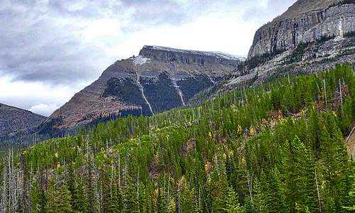 美国是个移民的国家【去美国之前你最关心的这些问题,已经有老移民为你解答
