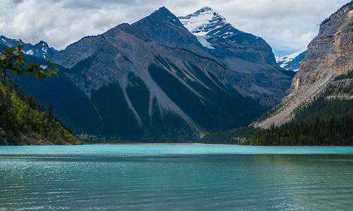 美国南部最早移民多{美国创新人才超过三成是海外移民}