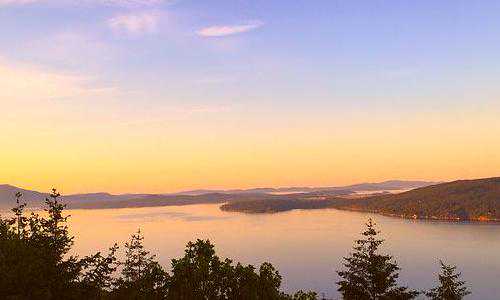 2019年美国亲属移民新政策{美国人口更为多元化亚裔移民青睐加州}