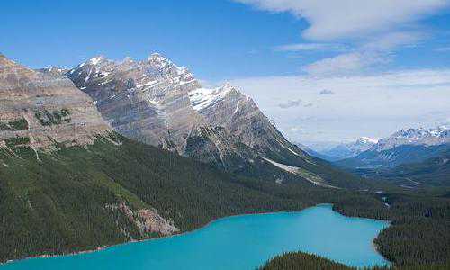 牙医可以选择技术移民美国吗【美国EB-1移民签证等候报告出炉】