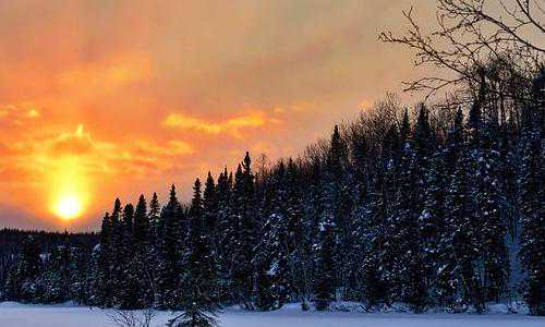 美国投资移民的风险【2021年10月美国职业移民排期】