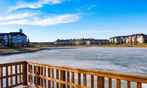 假结婚移民美国（美国移民政策增加高技术劳工签证）