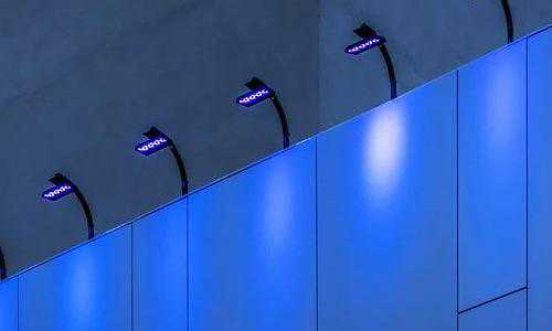 美国移民全家（美国新移民指南：美国教育简介）