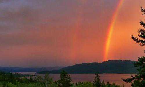 香港投资移民条（2020年最全香港移民方式汇总，值得收藏）